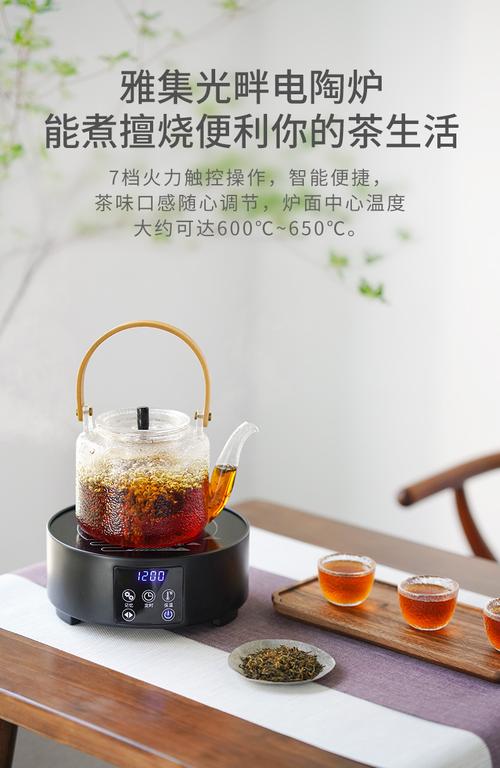 雅集茶具电陶炉煮茶器电茶炉家用办公小型煮咖啡煮茶玻璃器具套装 光